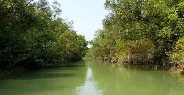 Photo of Char Kukri-Mukri