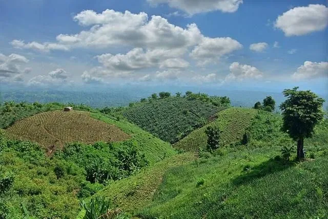 কাপ্তাই জাতীয় উদ্যান-এর ছবি