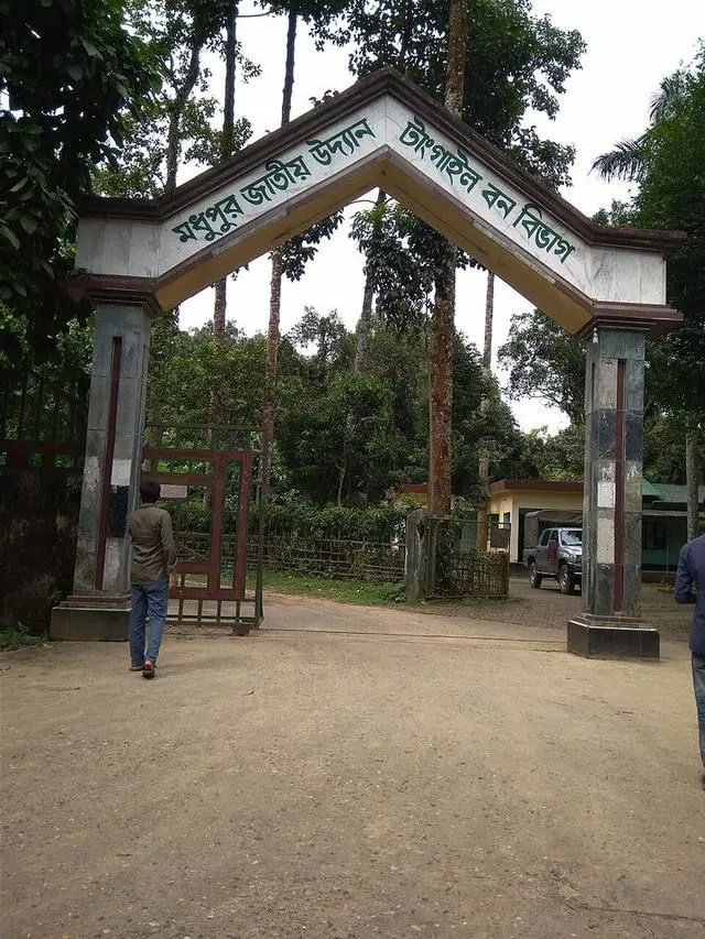 মধুপুর জাতীয় উদ্যান-এর ছবি