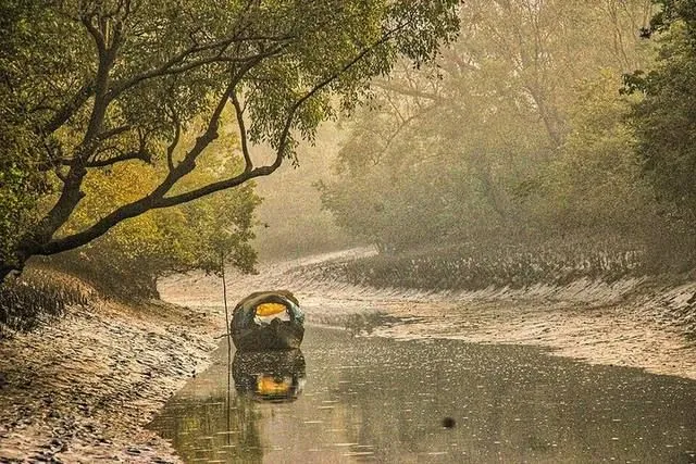 সুন্দরবন (খুলনা থেকে ট্যুর)-এর ছবি