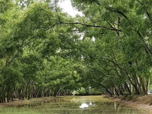 Photo of Altadighi National Park
