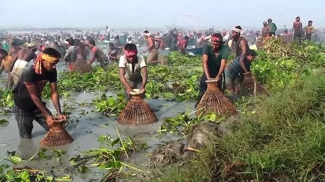 Photo: রহিম সৈকত, CC BY-SA 4.0, Wikimedia Commons
