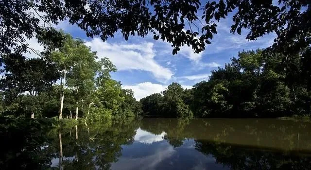 রেমা-কালেঙ্গা বন্যপ্রাণী অভয়ারণ্য-এর ছবি