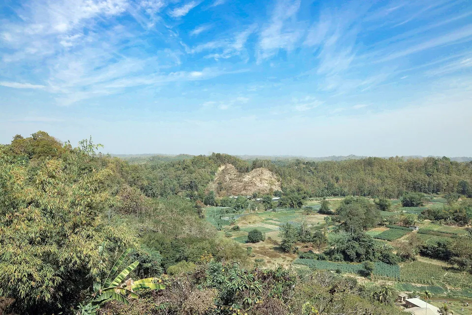 ছবি: Moheen Reeyad, CC BY-SA 4.0, Wikimedia Commons
