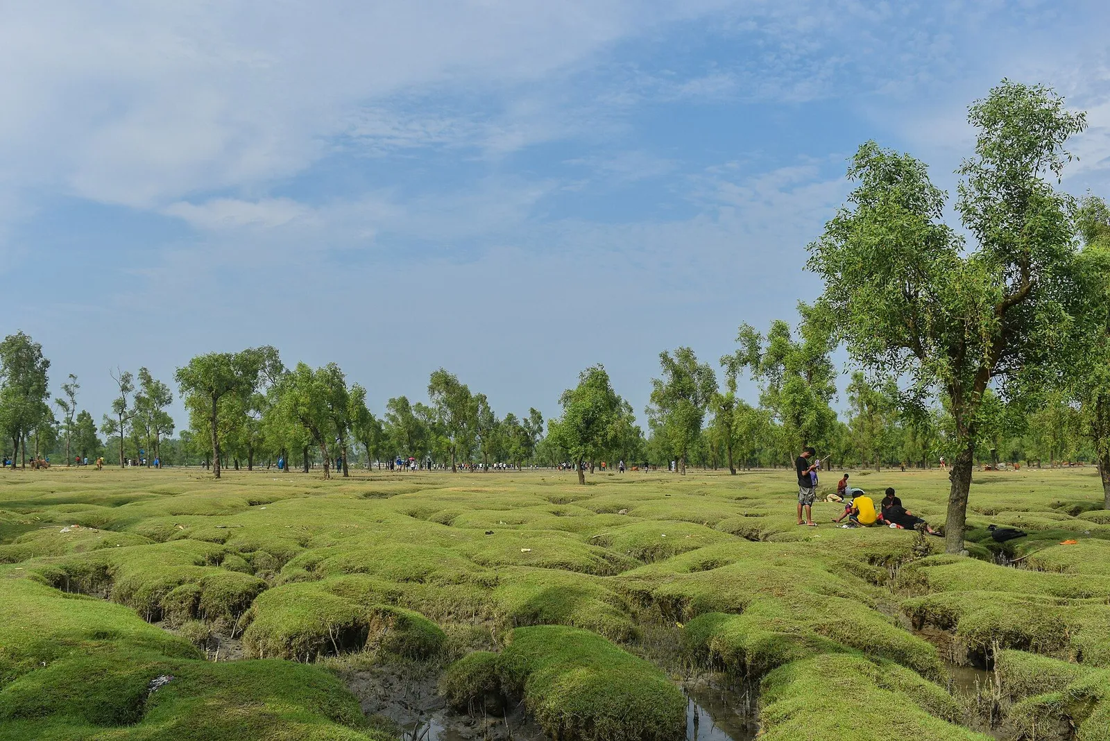 গুলিয়াখালী সমুদ্র সৈকত-এর ছবি