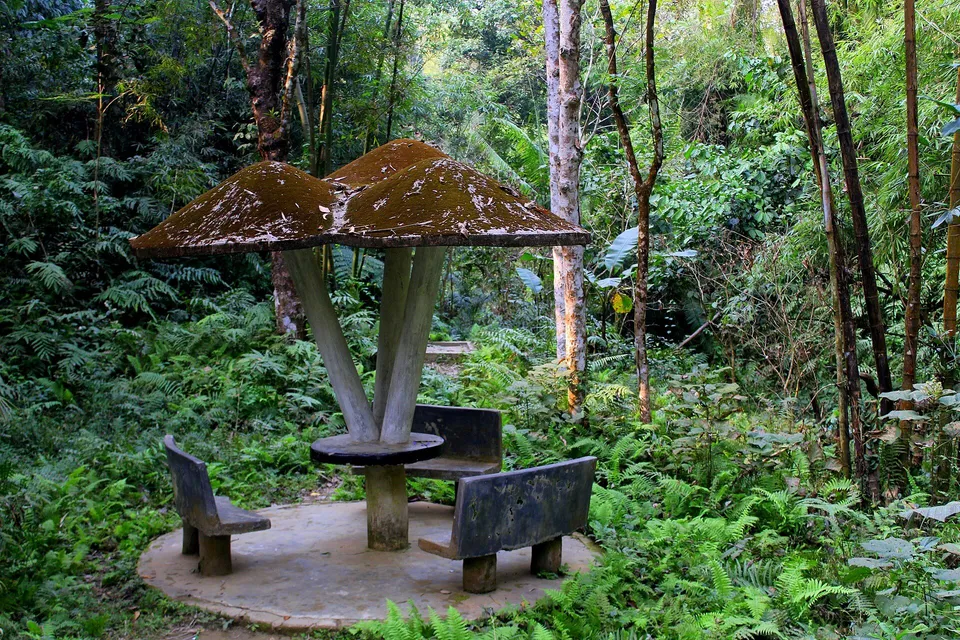 ছবি: Hasib Mehedi Porosh, CC BY-SA 4.0, Wikimedia Commons