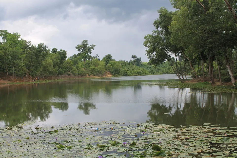 ছবি: Nhasive, CC BY-SA 4.0, Wikimedia Commons