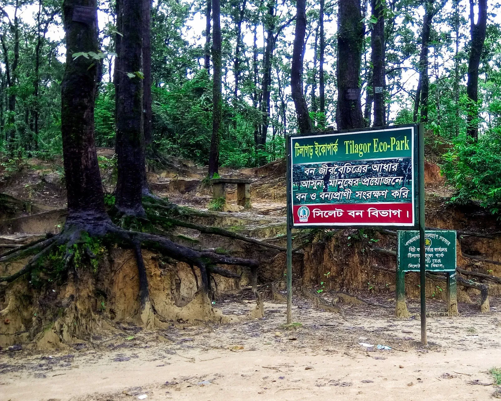 টিলাগড় ইকোপার্ক-এর ছবি