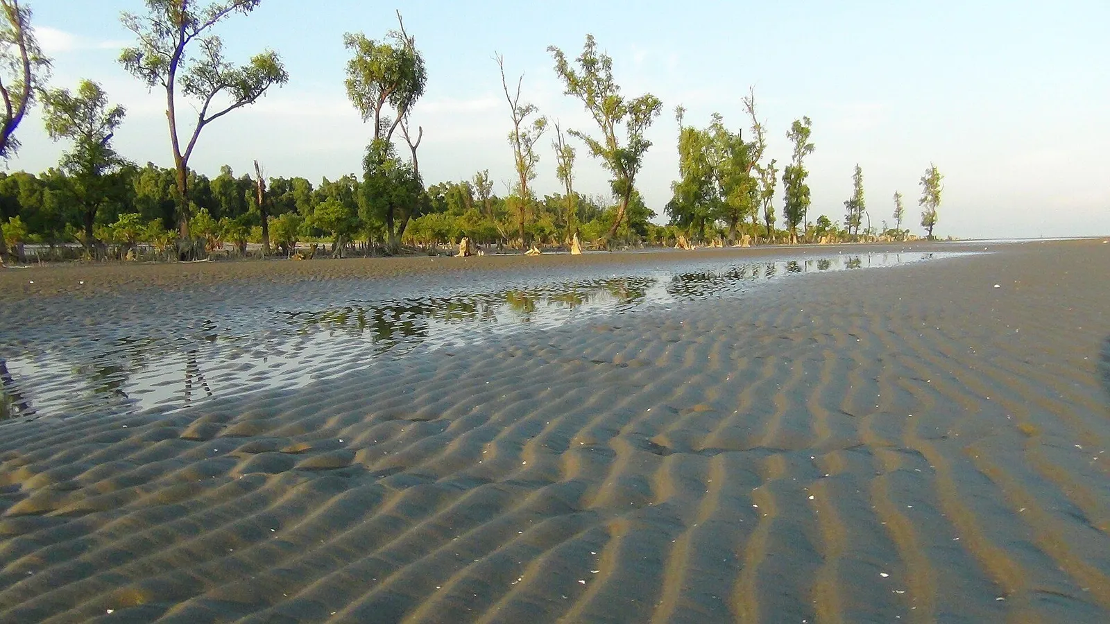 সোনার চর-এর ছবি