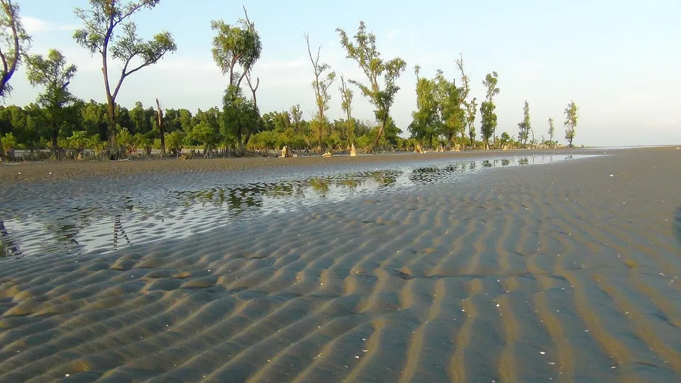 ছবি: Md suzan akon, CC BY-SA 4.0, Wikimedia Commons
